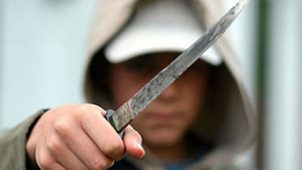 cuchillo perro