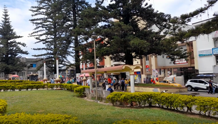 Las Araucarias Plaza principal araucarias