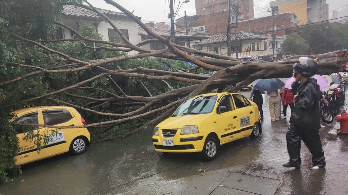 caída árbol Medellín
