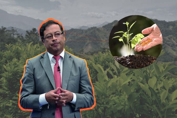 cover (12) (1) Gustavo Petro propone uso de hoja de coca como abono para la tierra: ¿Realmente viable? - Noticia sobre el impacto de la propuesta del presidente de Colombia en la agricultura y el narcotráfico