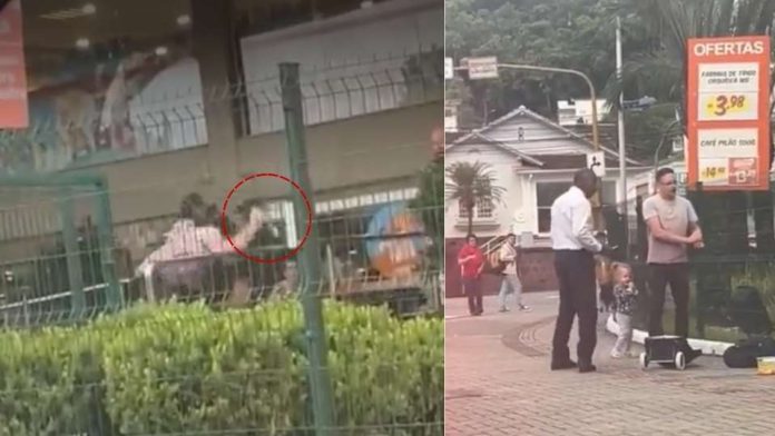 cover (8) En video | Padre defiende a su hija y apuñala a presunto delincuente en Brasil