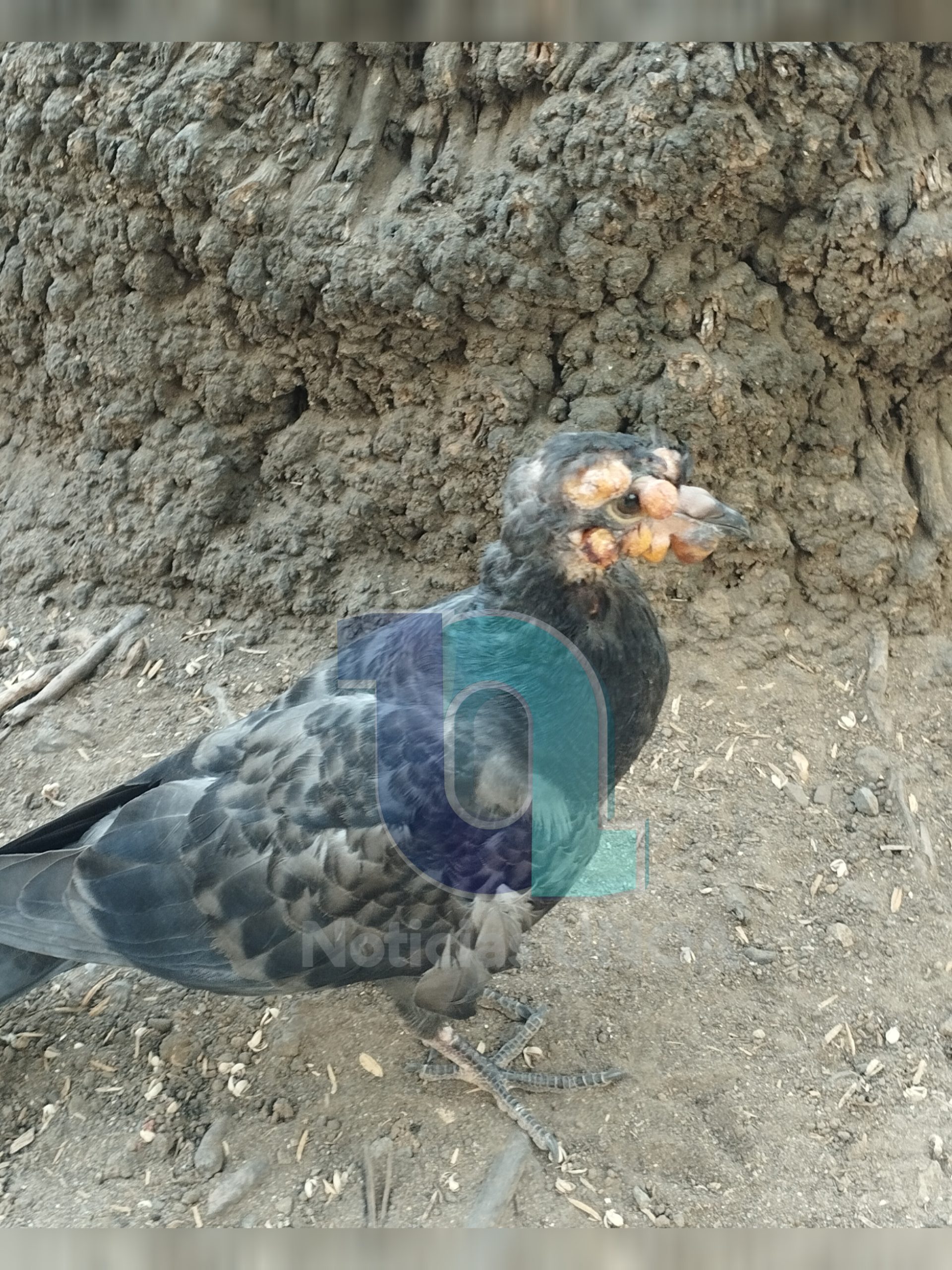 InShot_20240131_092206885.jpg