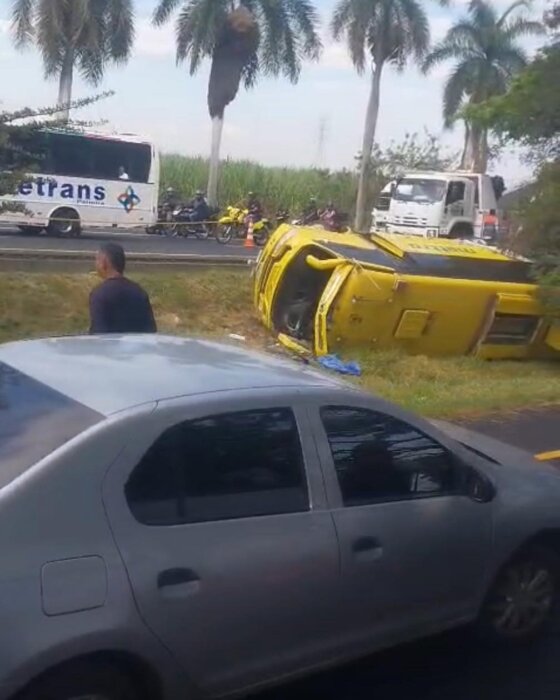 acciodente palmira