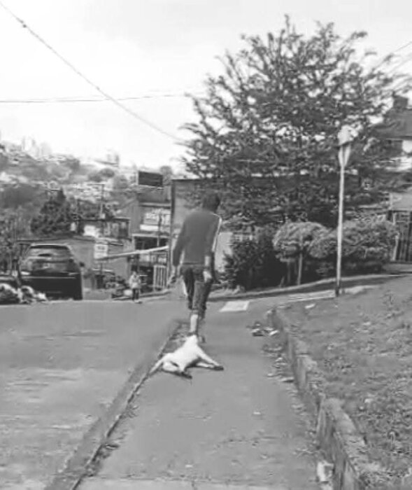PERRO