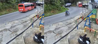 web-bus-696x315