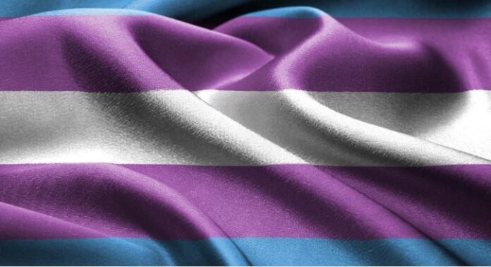 comunidad trans