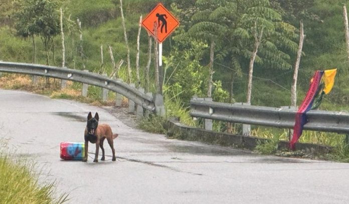 ituango
