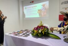 La cultura de Pereira busca renacer tras el terremoto: una apuesta por el arte, la memoria y la tradición