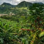 Secretaría de Desarrollo Agropecuario de Risaralda proyecta un presupuesto de $14.000 millones para 2027