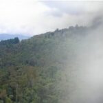 Una reserva natural de 256 hectáreas, el tesoro ambiental de la Industria Licorera de Caldas