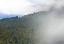 Una reserva natural de 256 hectáreas, el tesoro ambiental de la Industria Licorera de Caldas